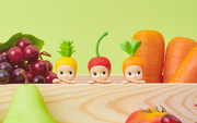 HIPPERS - Harvest Series - Easy Style