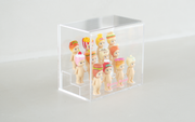 Sonny Angel Acrylic Display Case - Simple Pick