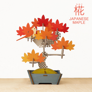 Play Plants Bonsai Puzzles - Shelf Ready