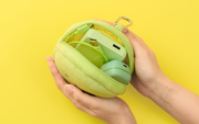 SMISKI Cushion Pouch - Gift Ready