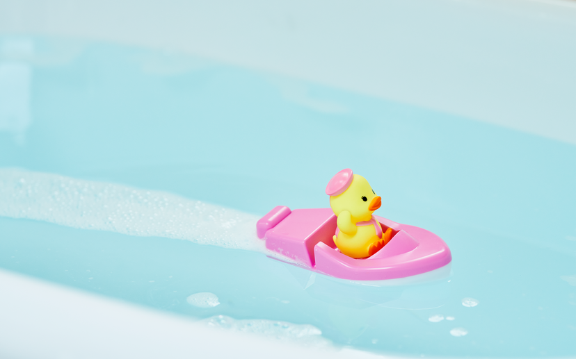 Duck Sailor Boat - Ready Pick