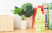 SMISKI Touch Light - Fresh Choice