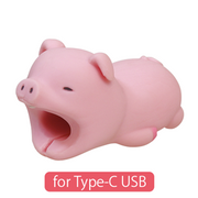 CABLE BITE for Type-C USB - Daily Pick