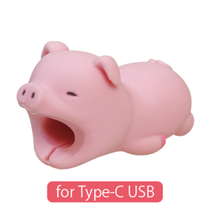 CABLE BITE for Type-C USB - Daily Pick